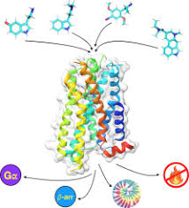 Research chemical Europe
